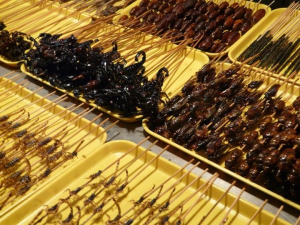 Wangfujing-market-insectes-pekin-3