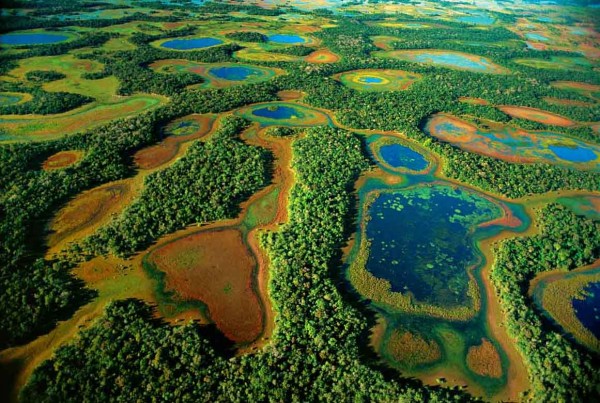 pantanal-ponds1